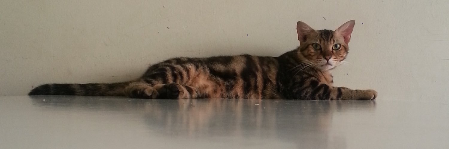 TornadoWrangler banner