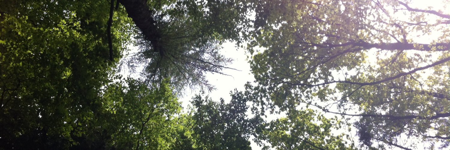 Josh Whitehurst banner