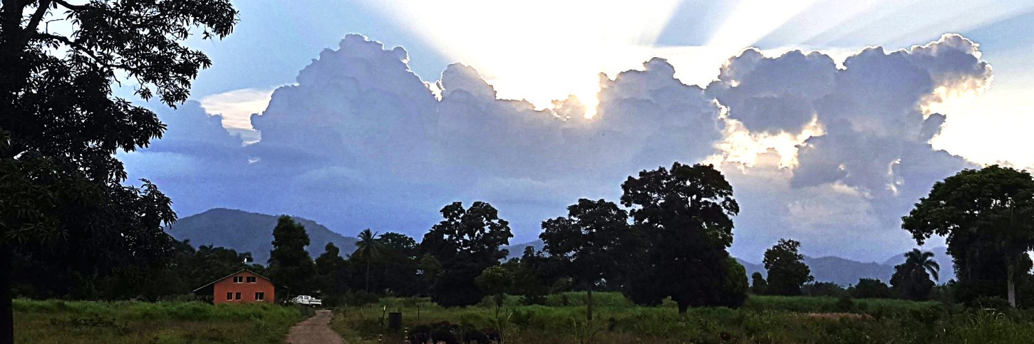 StevenGross10's profile banner image