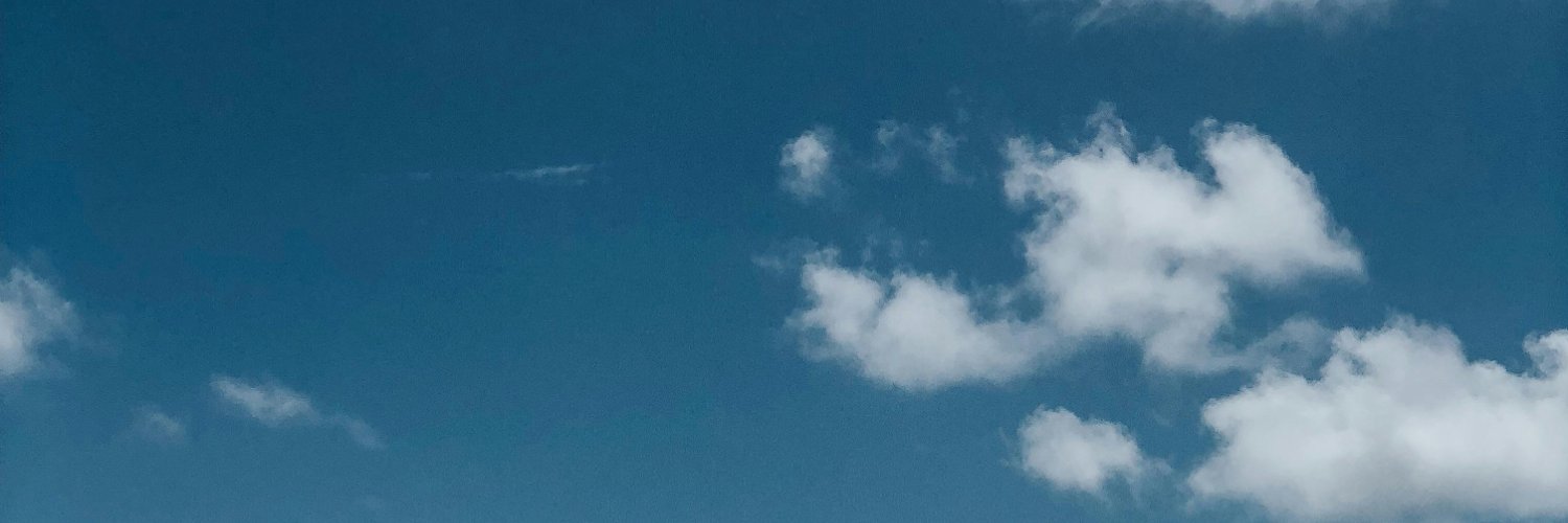 kelly_larson's profile banner image