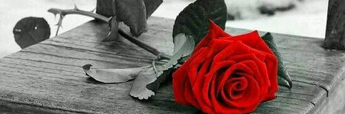 knoooz3331's profile banner image