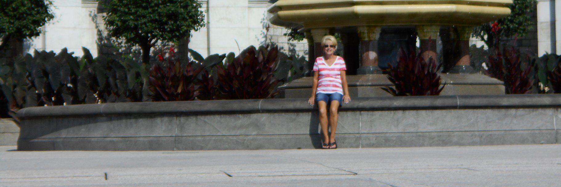 MAGA Jayne 🇺🇸🇺🇸🇺🇸🇺🇸 banner