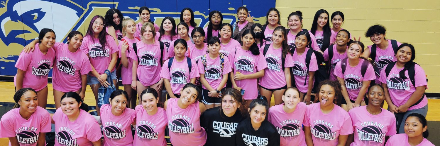 Crockett Volleyball banner