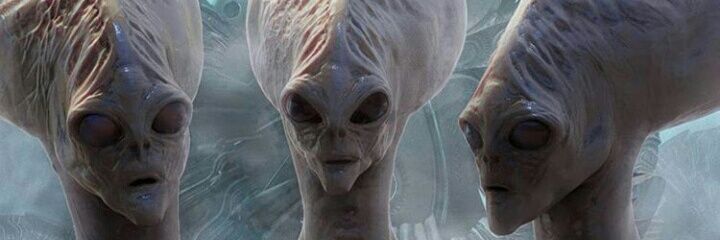 ZoharBalak's profile banner image