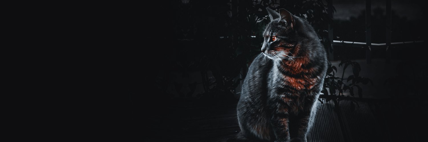 Biliputra Dipradja banner