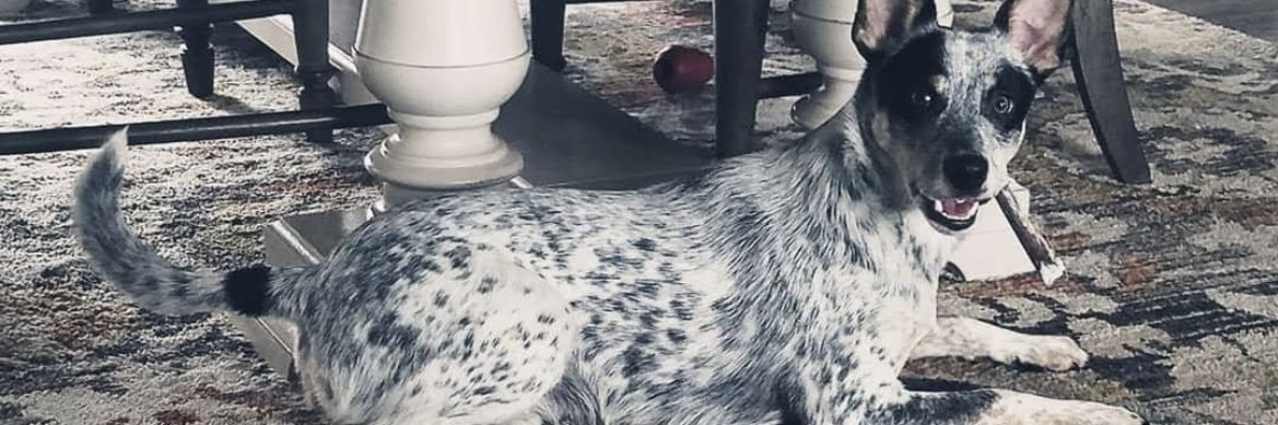 Macybatt01's profile banner image
