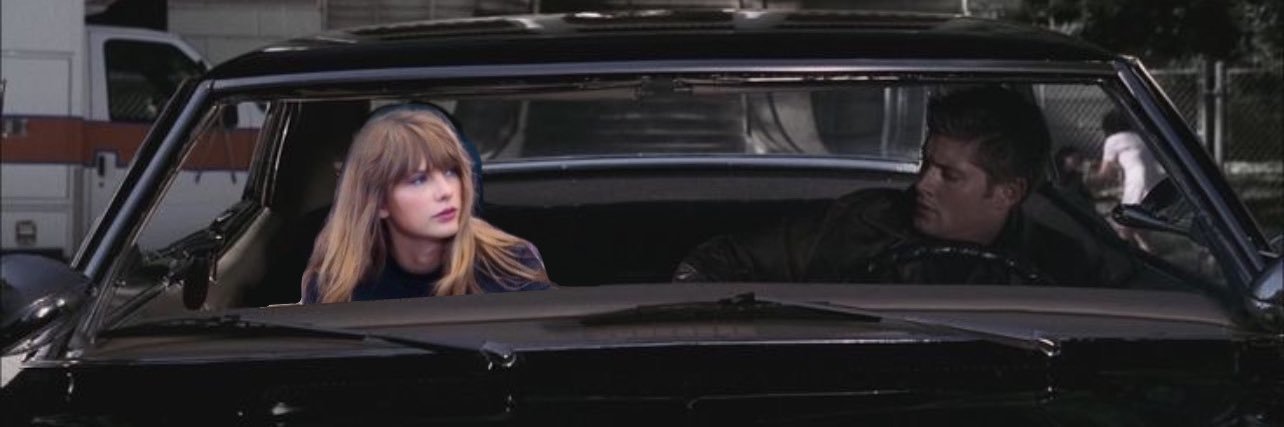 tayloona truther banner