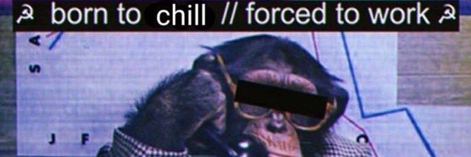 antoniohalley_'s profile banner image