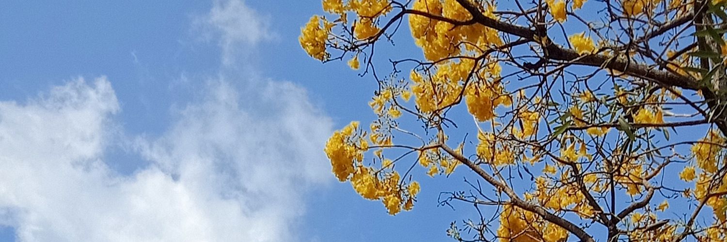 restiandraa's profile banner image