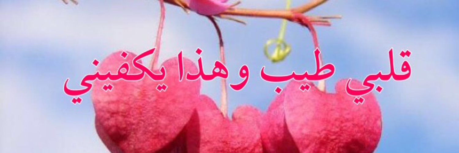 c5d70c4b's profile banner image