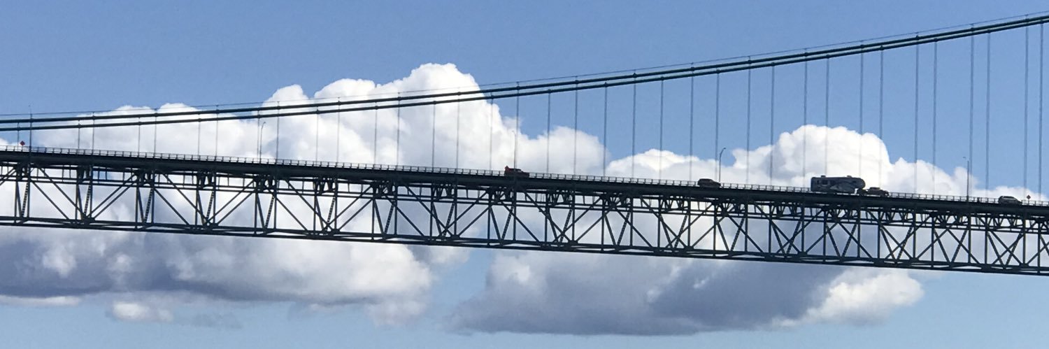 Wheelspinner20 banner