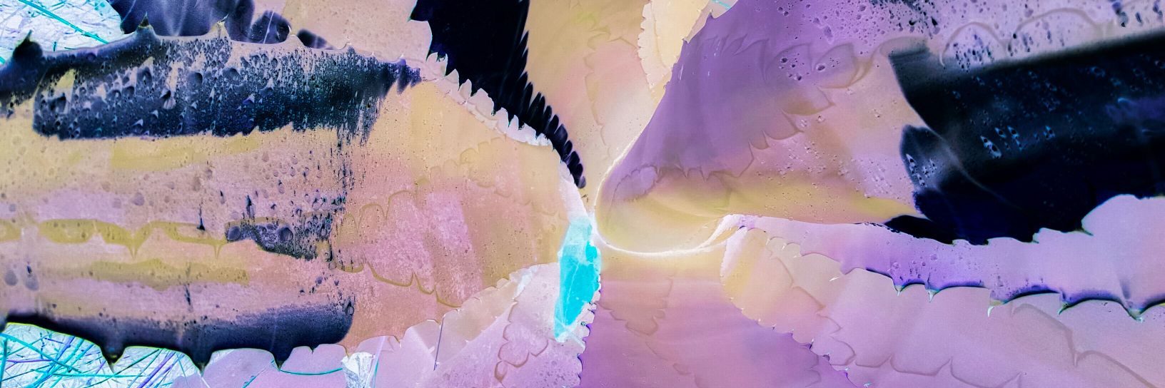 Alexander de Cadenet banner