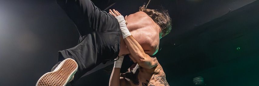 SB_Pidgey's profile banner image