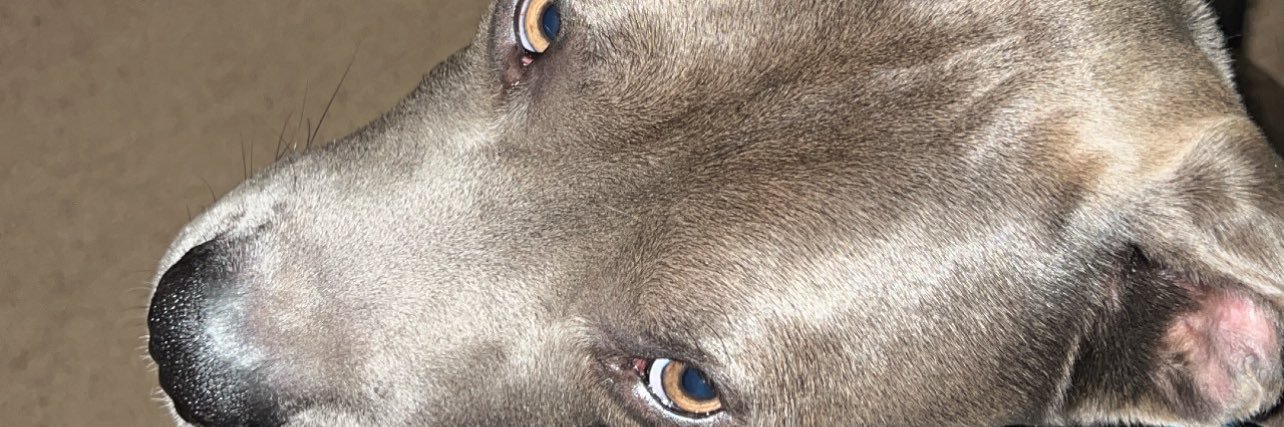TeeDarc's profile banner image