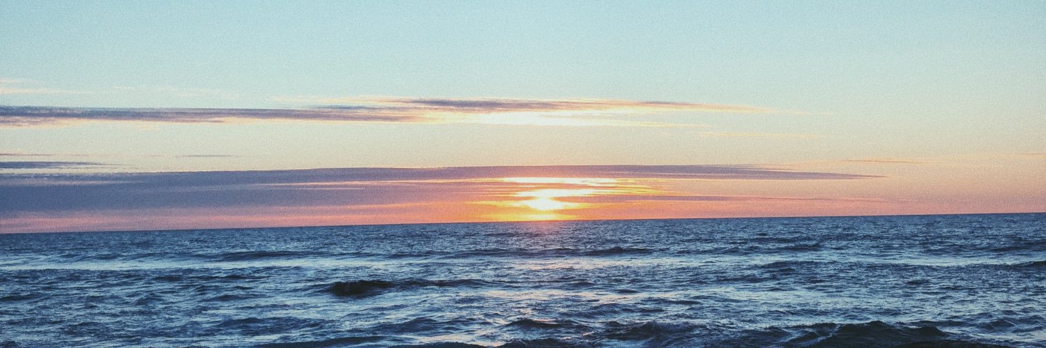 Daniela Obregón banner