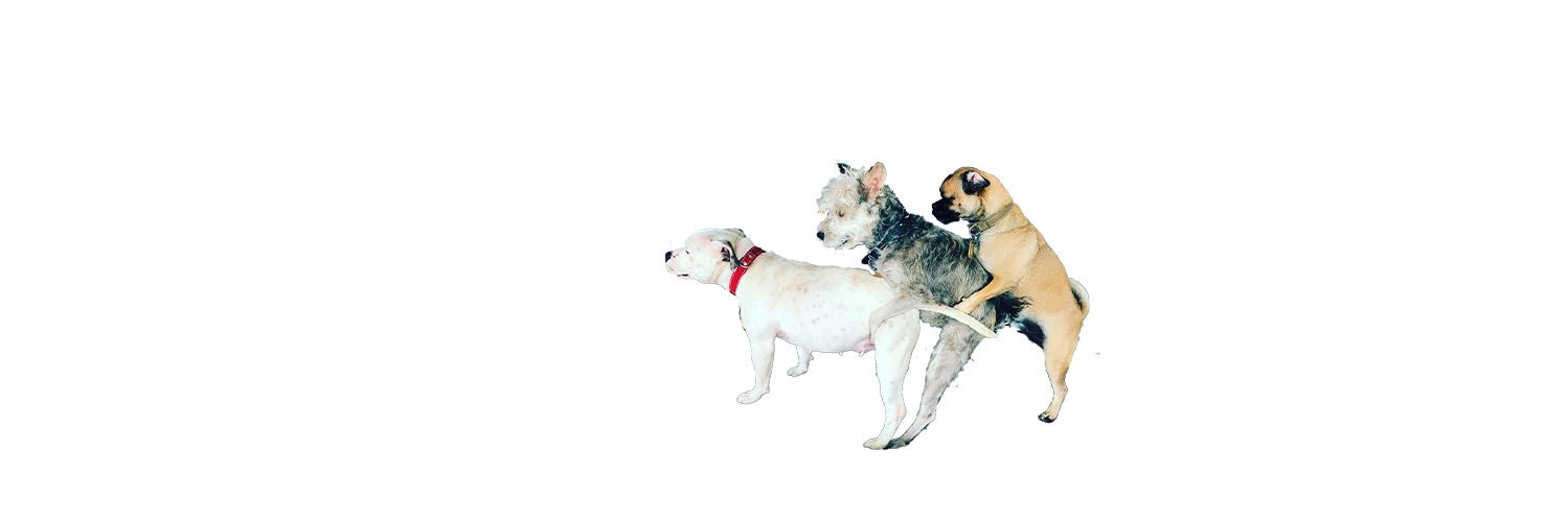 Jóse R Guzmán banner