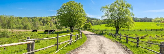 Country Roads banner