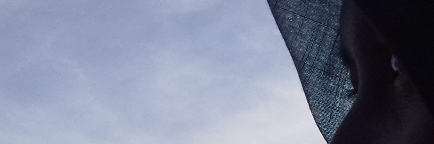 disvix's profile banner image