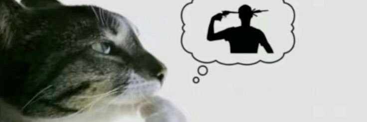 iasapreal's profile banner image