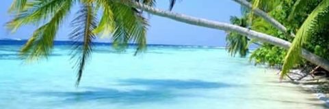 alejandro garcia banner