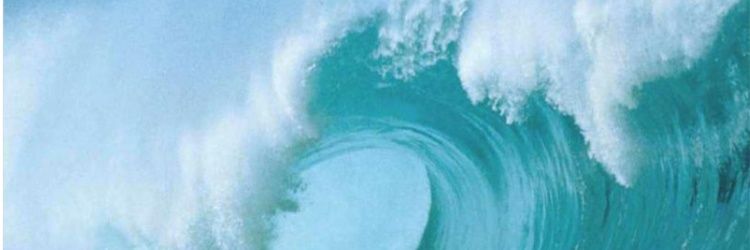 KipHarris11's profile banner image