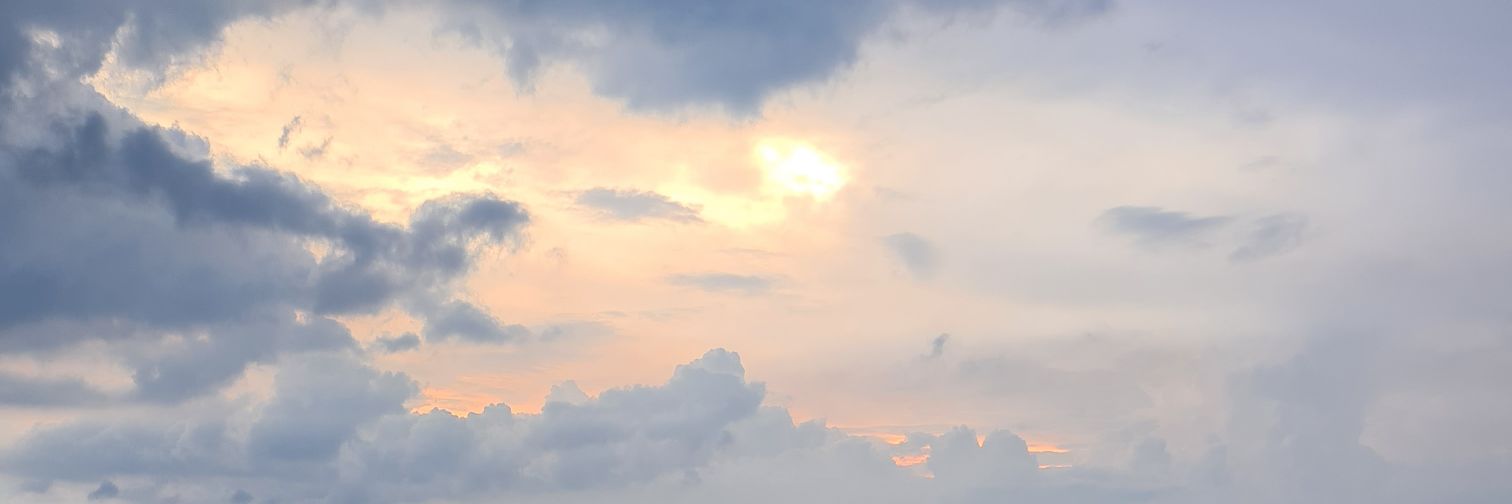 . banner