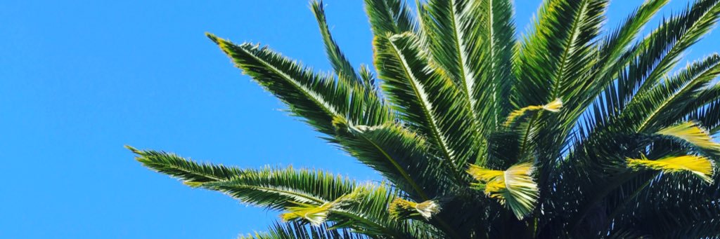 ashley_x4's profile banner image