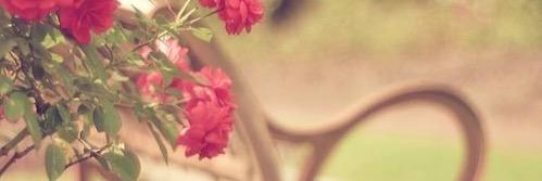btoott's profile banner image