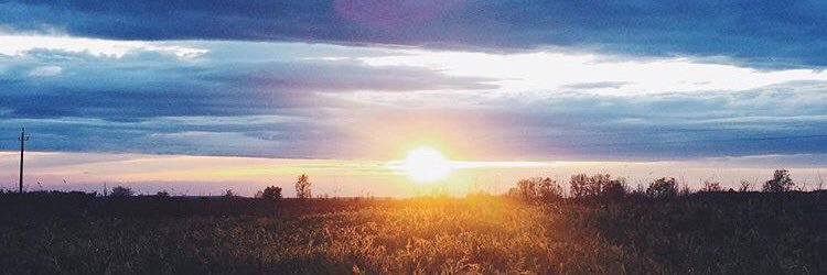 julianasheaffer's profile banner image
