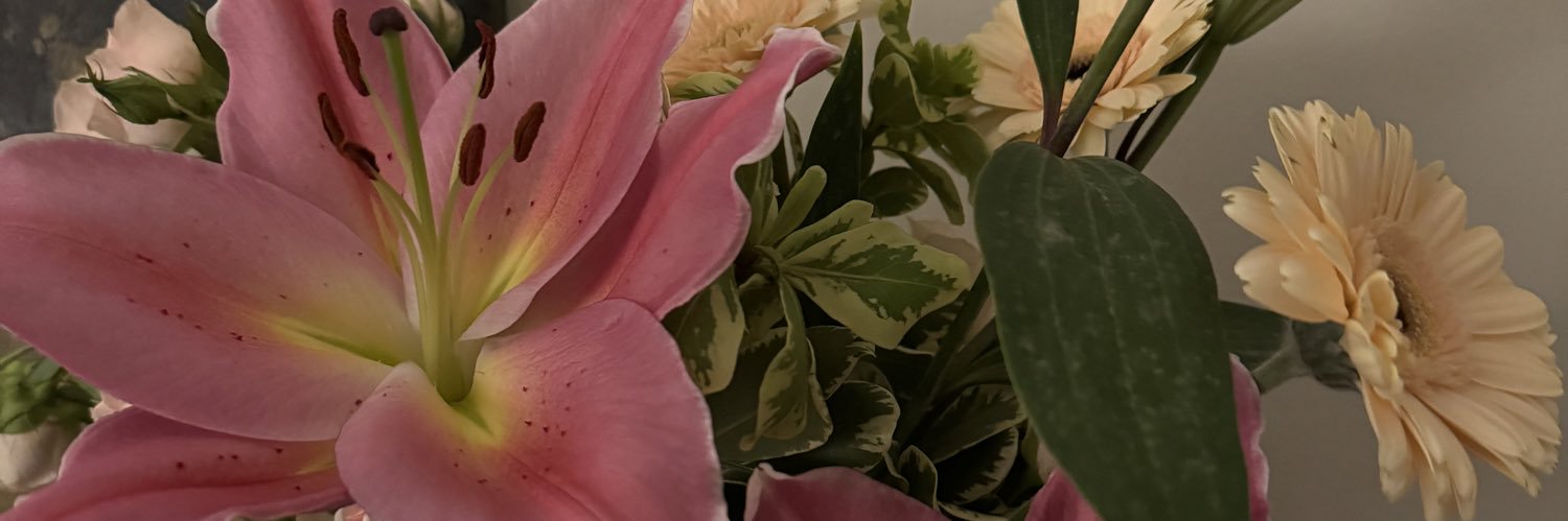 زهراء banner