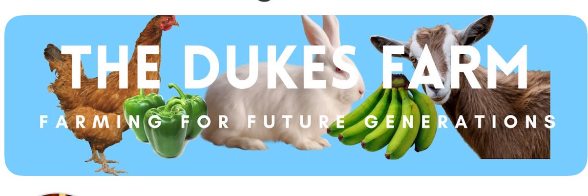 Denis Duke Woniala🇺🇬's banner