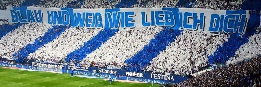 Willi reicht🚂 💨 S04💙🤍 banner