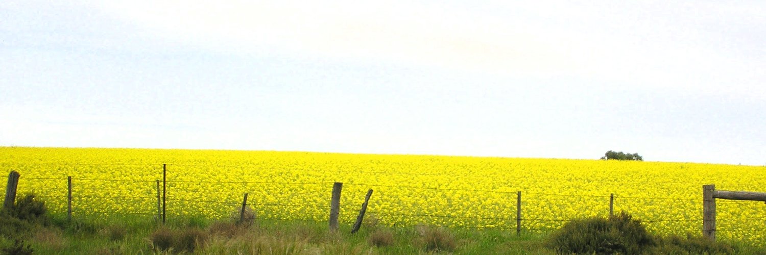 Dr Christine Slade Profile Banner