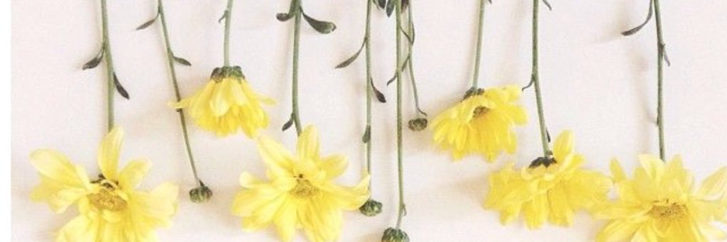 dooolis's profile banner image