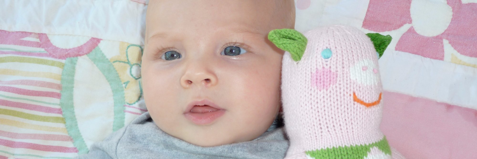 hmeredithharris's profile banner image