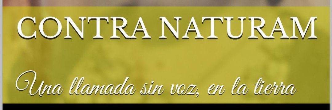 cothur's profile banner image