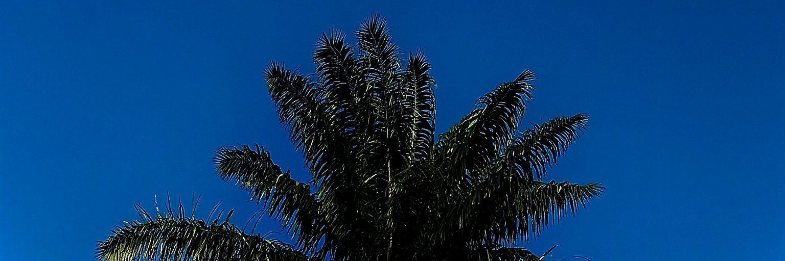 hernie1one's profile banner image