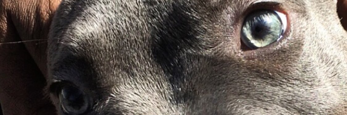 TaskForceYB's profile banner image
