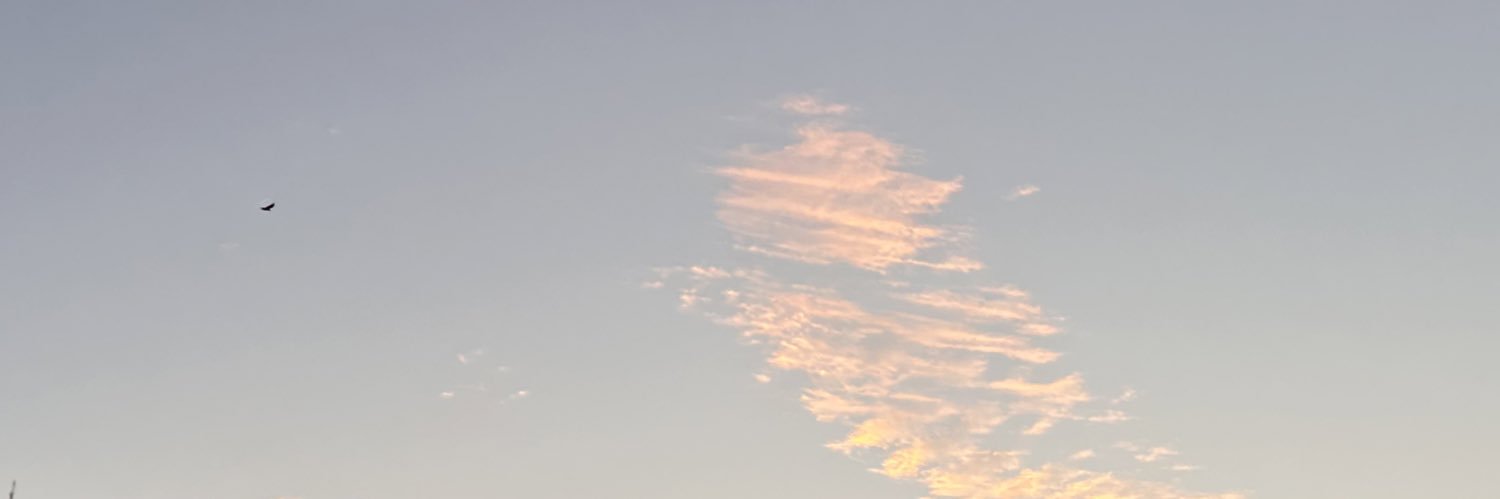 𝒕𝒆𝒂𝒉𝒂𝒓𝒖 ✿ banner