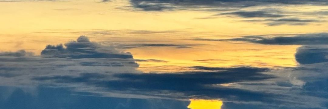 falihadz's profile banner image
