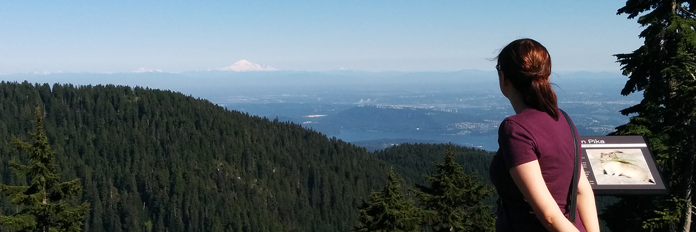 🌬️ LeksiW on Twitch🍃 banner