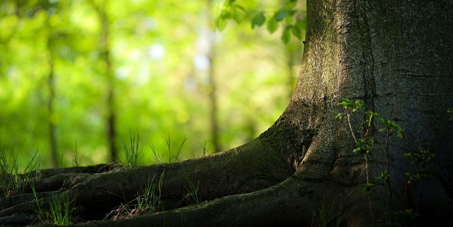 iitsamy1's profile banner image