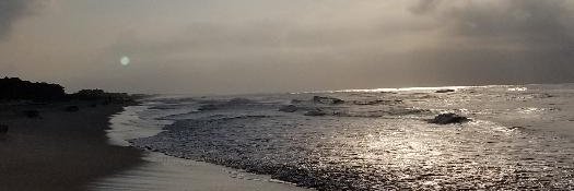 dshill426's profile banner image