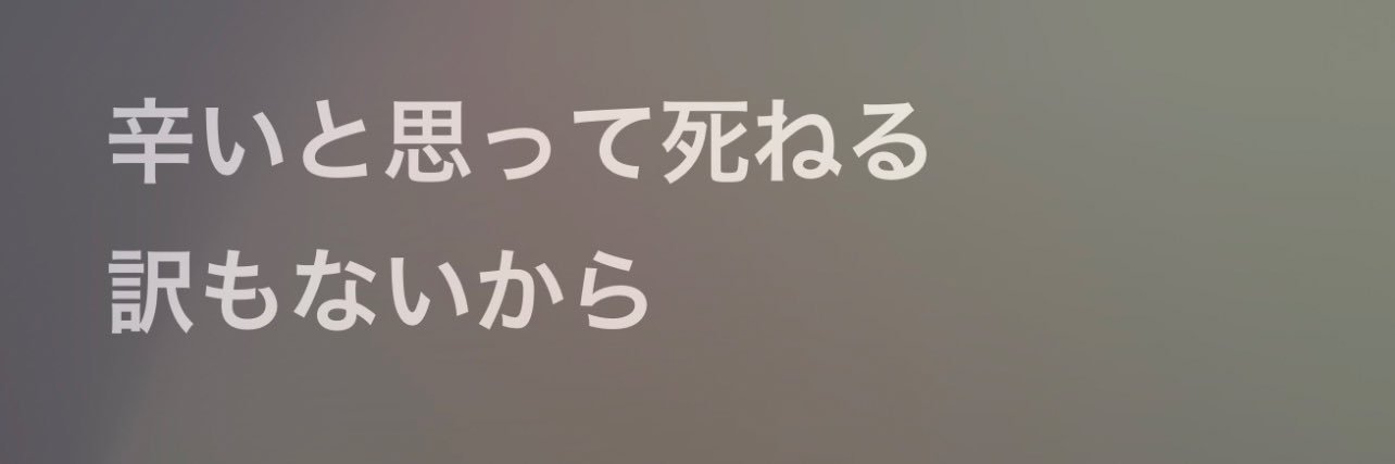 mayoineko9933's profile banner image