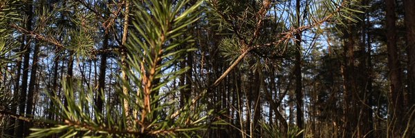 Greendaryaa Profile Banner