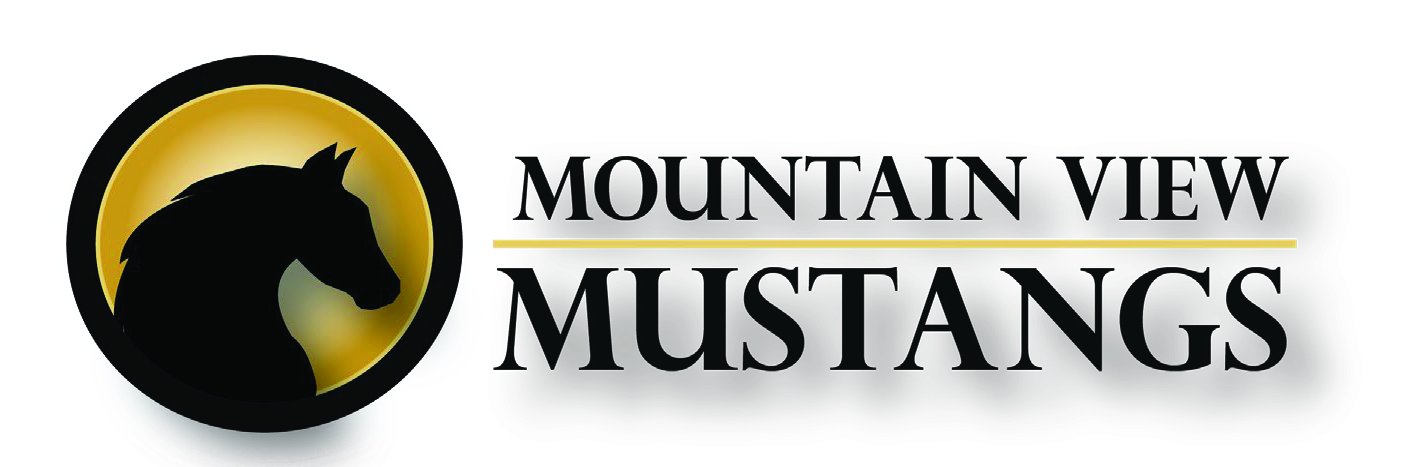 Mountain View Elem banner