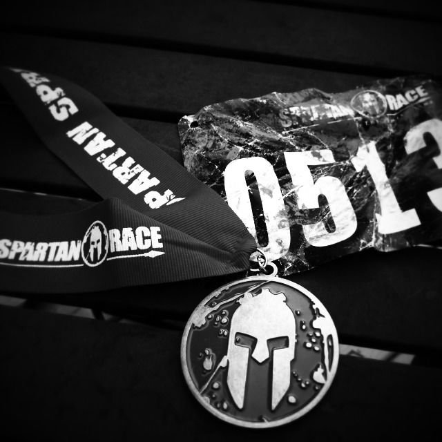 steve saddleback banner