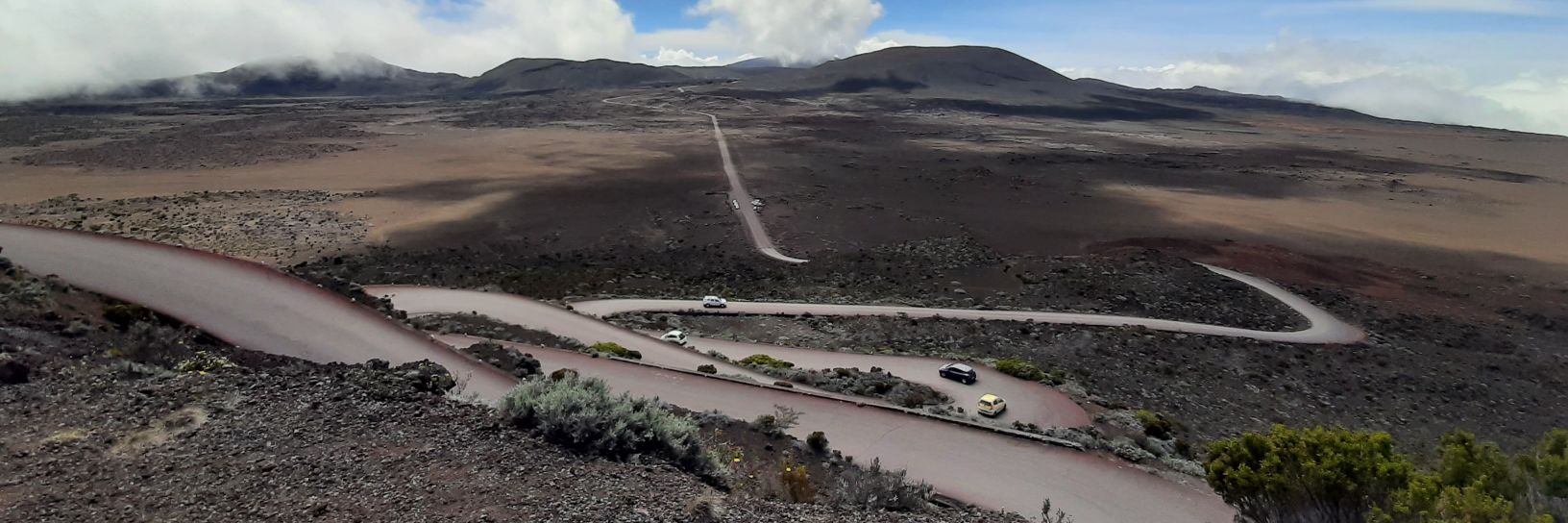 Matio 86974 🇷🇪🦁🏳️‍🌈 banner