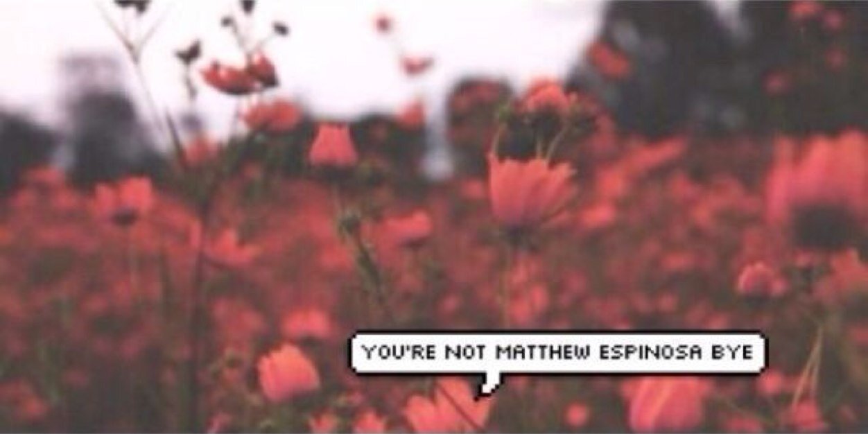 MattInSnapbacks's profile banner image