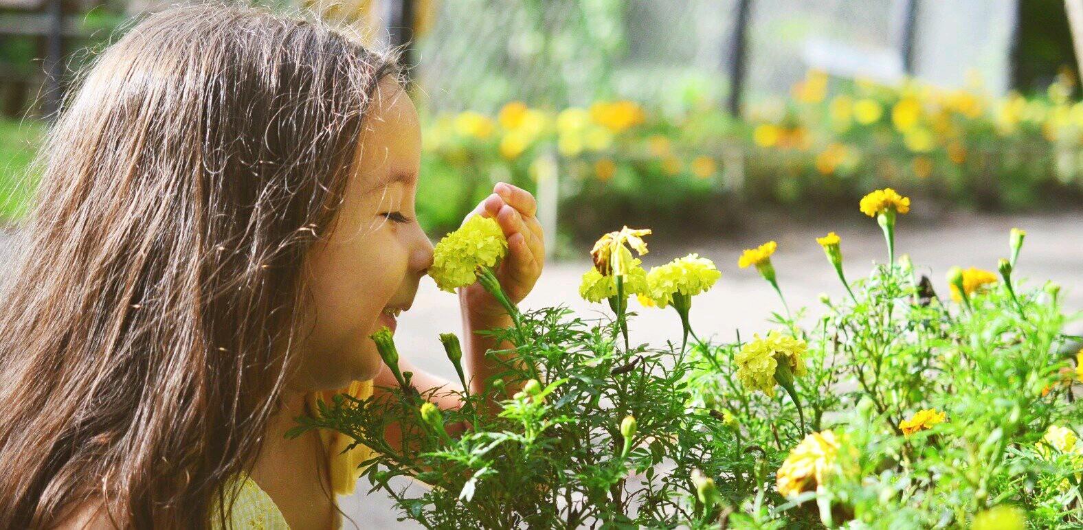 Valentina_Vake's profile banner image